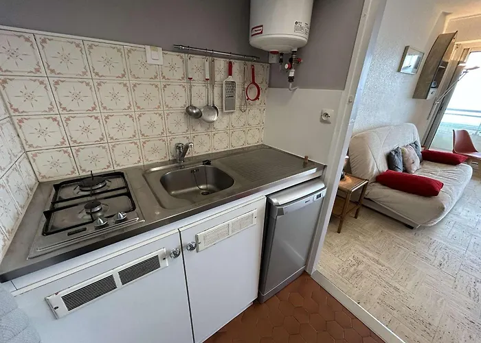 Confortable Face Avec Garage Prive, - Fr-1-224c-336 Saint-Hilaire-de-Riez